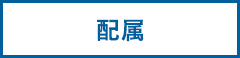 配属